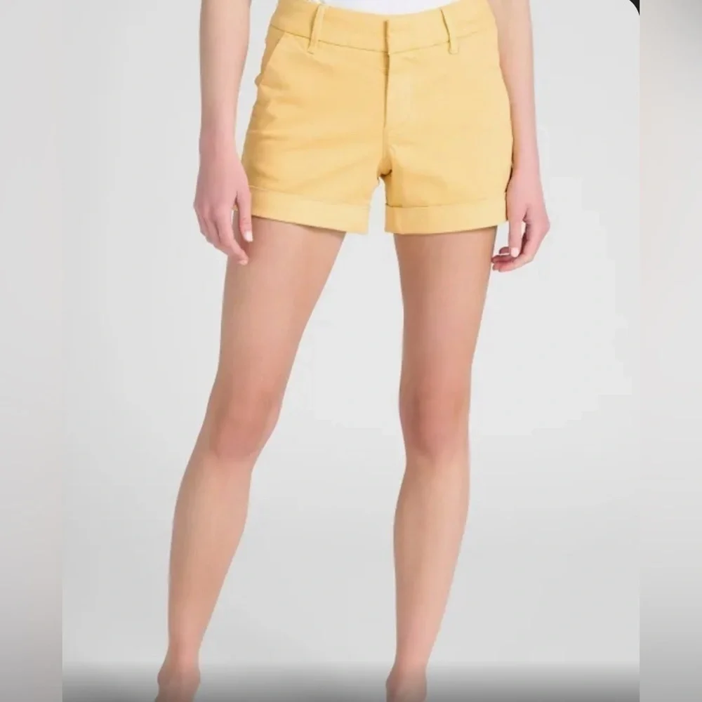 Dear John Denim Hampton Shorts Size 33
